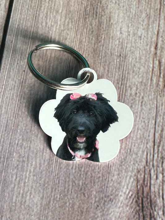 PAW PRINT PHOTO PET ID TAG