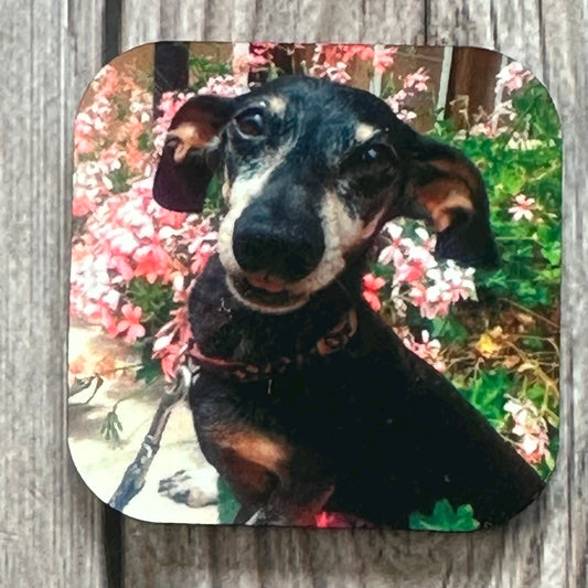 PHOTO MAGNET