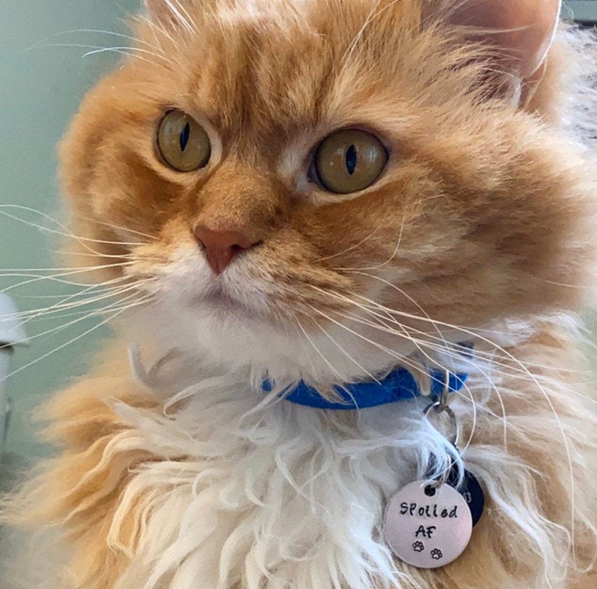 “SPOILED AF” Fun Tag