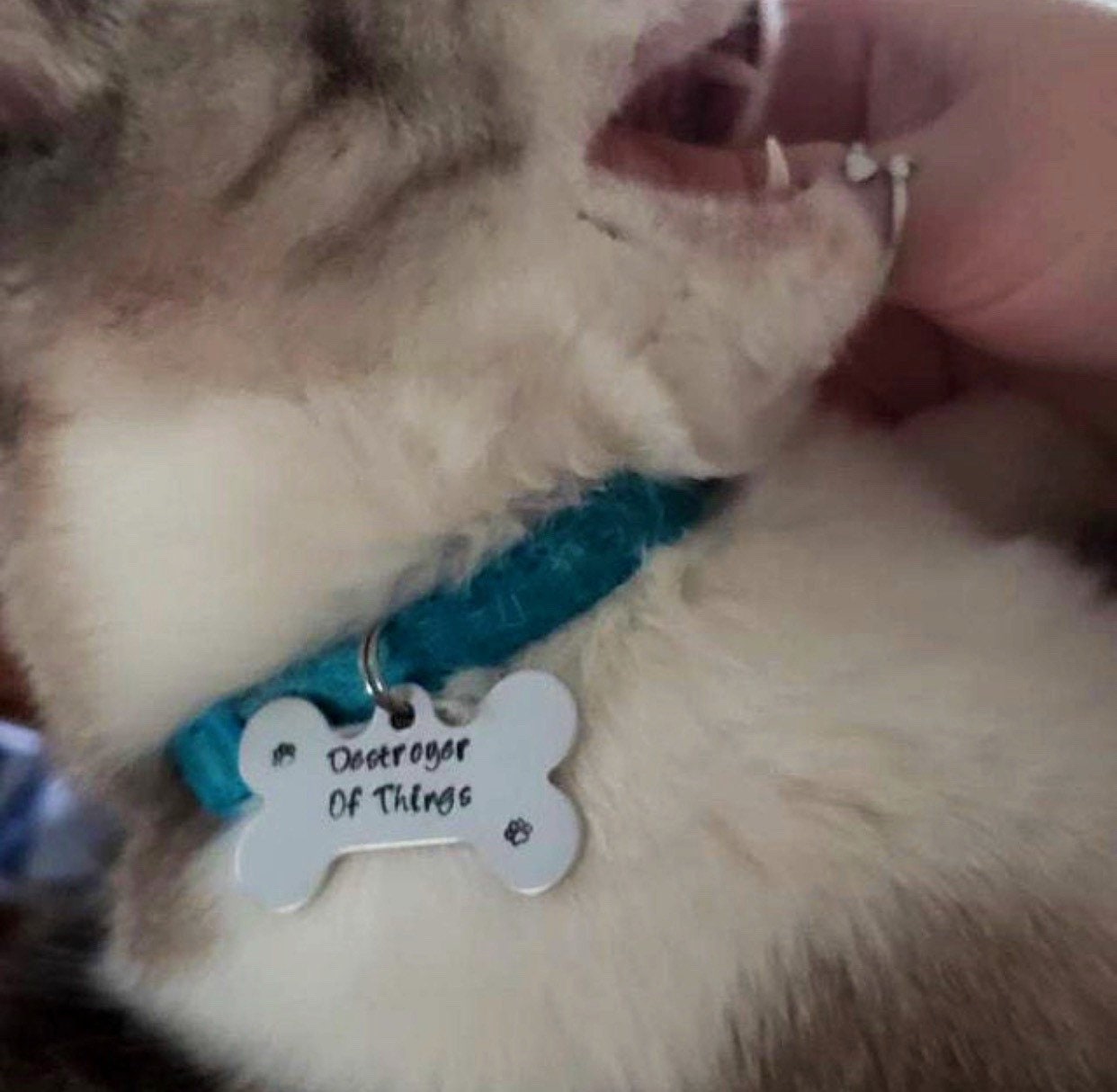 “DESTROYER OF…” Fun Tag