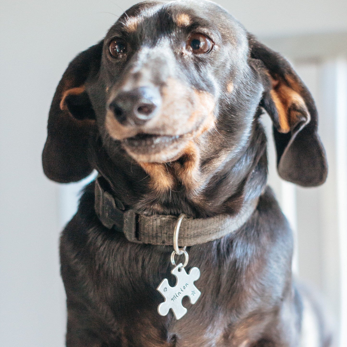 PUZZLE PIECE PET ID TAG