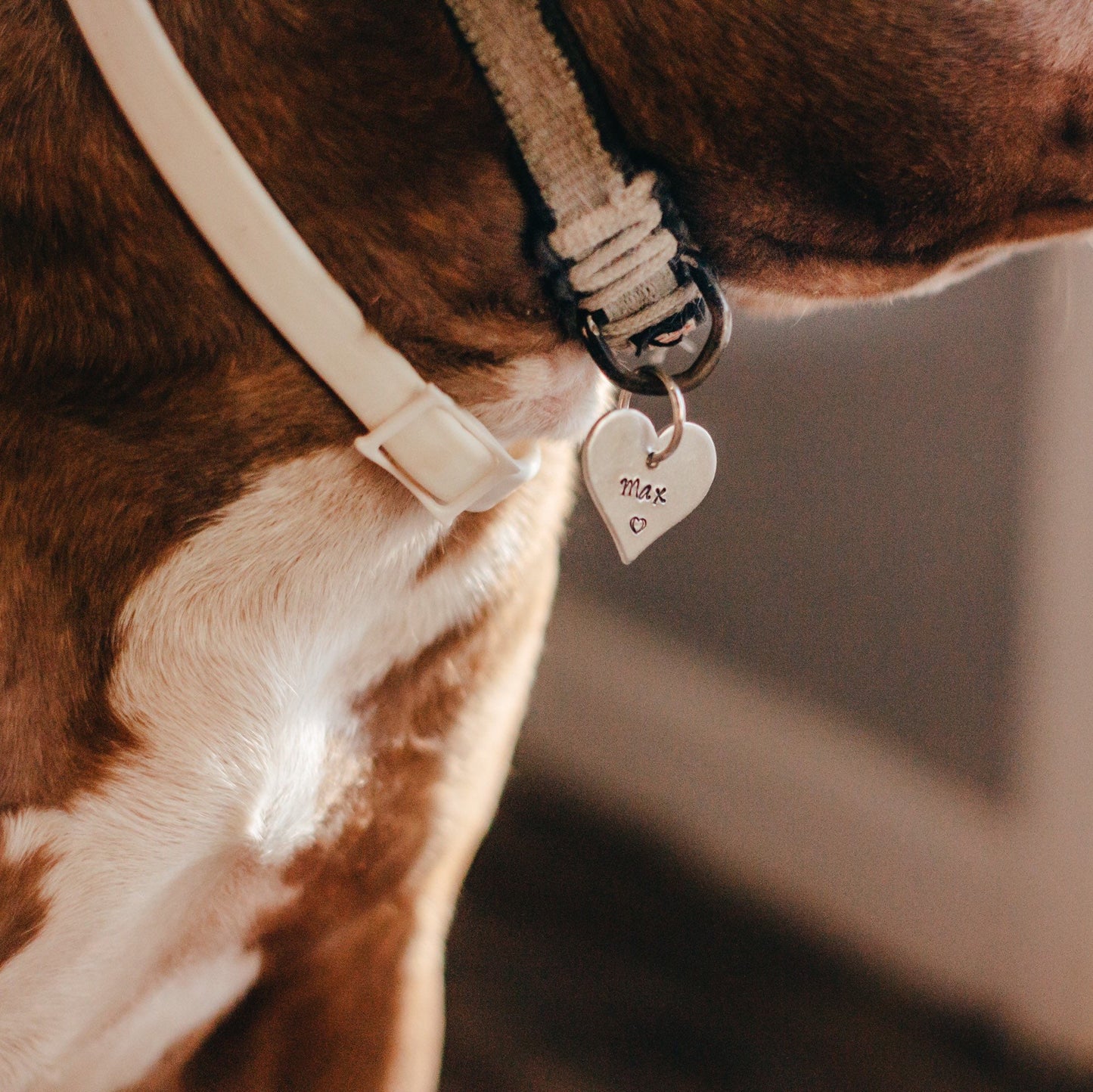 HEART SHAPED PET ID TAG