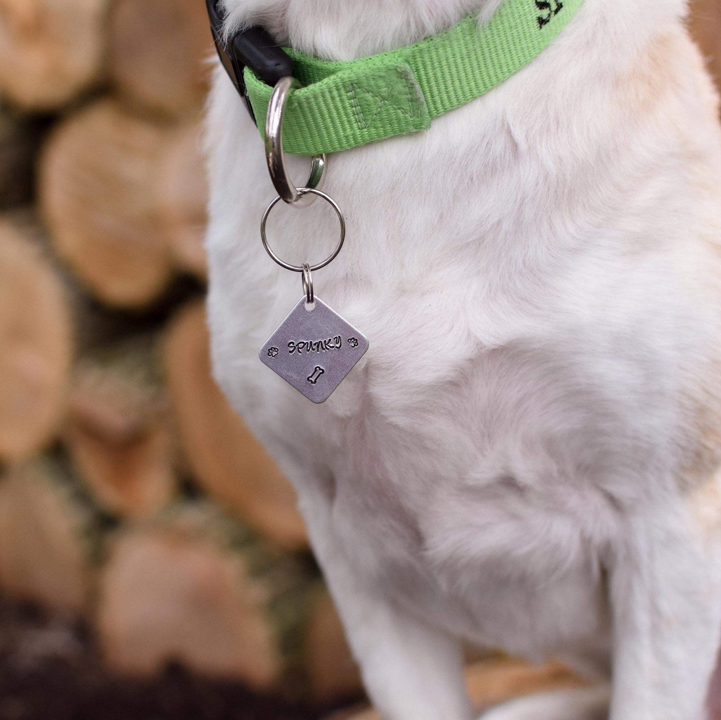 SQUARE PET ID TAG